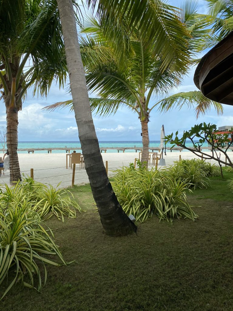 midlife globetrotter