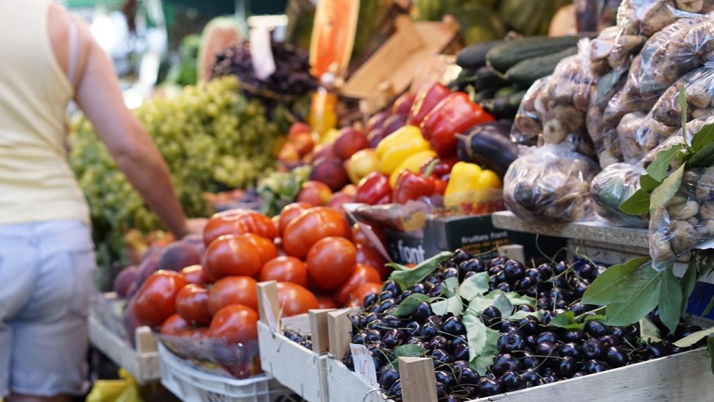 travel more sustainably